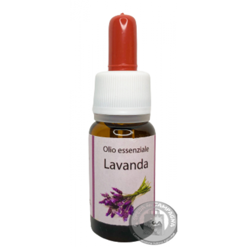 lavanda